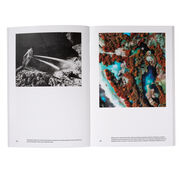 Tate Photography: Richard Mosse